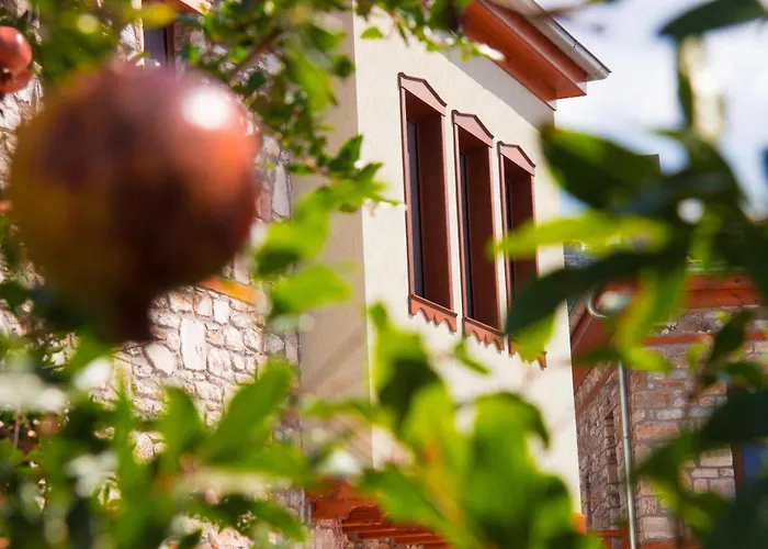 Vilă Harmony Deluxe *